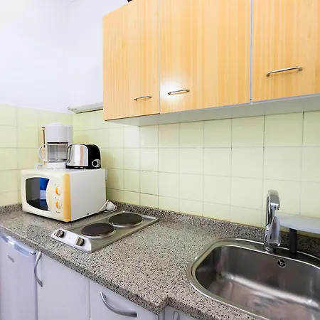 Rnet - Weekcat Roses