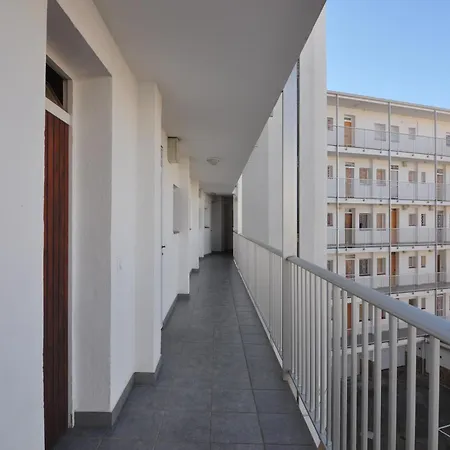 Rnet - Weekcat Roses