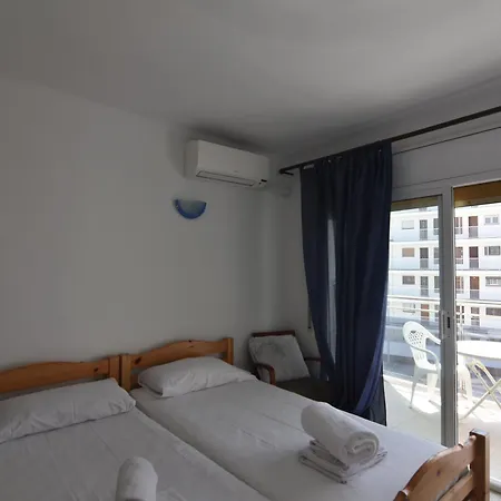 Rnet - Weekcat Roses